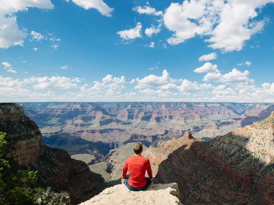 USA_Arizona_Grand Canyon_South Rim_shutterstock_316296605