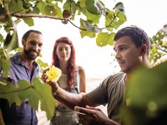WCA - Bush Foods