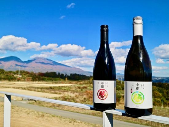 御牧ケ原大地の丘に立つ「ジオヒルズワイナリー」を見学 特別なナイトツアー＋グラスワインのテイスティング＜お子様参加OK／小諸＞