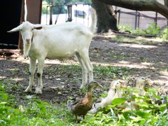 IMG_6751