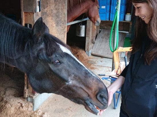 乗馬体験　初心者でも安心！天城の美しい自然に囲まれた乗馬クラブ 選べる45分のマンツーマンレッスン、ペアレッスン、引馬体験など＜天城ホースビレッジ＞