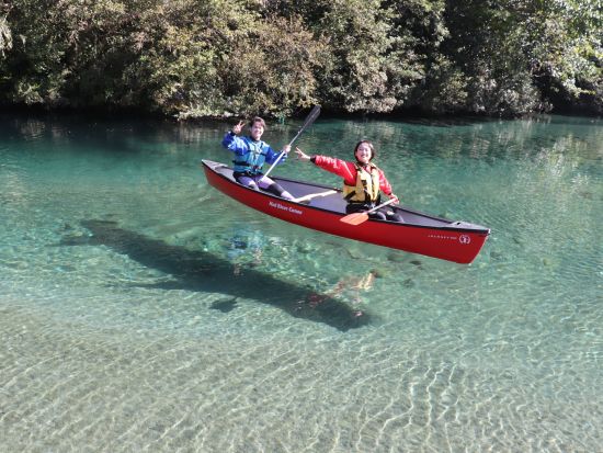 【ペットOK！】仁淀ブルーでカナディアンカヌー宙船（そらふね）体験 人気カフェスイーツ無料券プレゼント＜用具レンタル付／仁淀川町＞