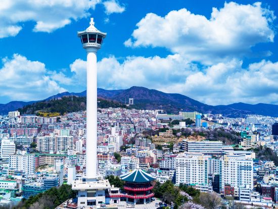 釜山市内半日観光ツアー　釜山タワー＆活気あふれるチャガルチ市場や国際市場を散策！釜山名物ヘムルタン（海鮮鍋）のランチ付き＜午前・午後／日本語ガイド／ホテル送迎＞