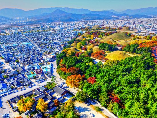 【貸切チャーター】釜山発！世界遺産　慶州＋海印寺　宝城や順天湾もOK　選べる時間（9～12時間）＜最大12名＞※車1台あたり料金