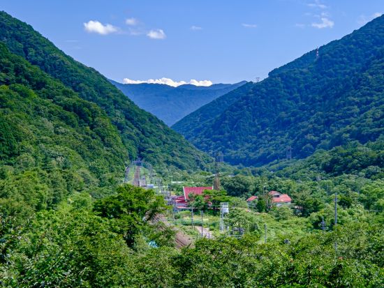 みなかみの山で大冒険！おじいちゃんの山で林業や農作業も体験できる農泊 ＜1泊2食付き／送迎付き＞ by 農家民宿 山信