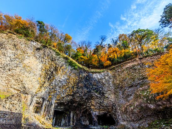 shutterstock_1244796646