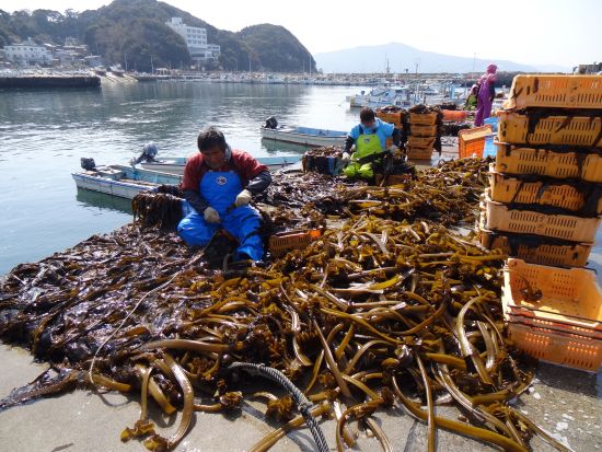 船で行く！漁師町の島ランチツアー＜鳥羽市＞ by 海島遊民くらぶ