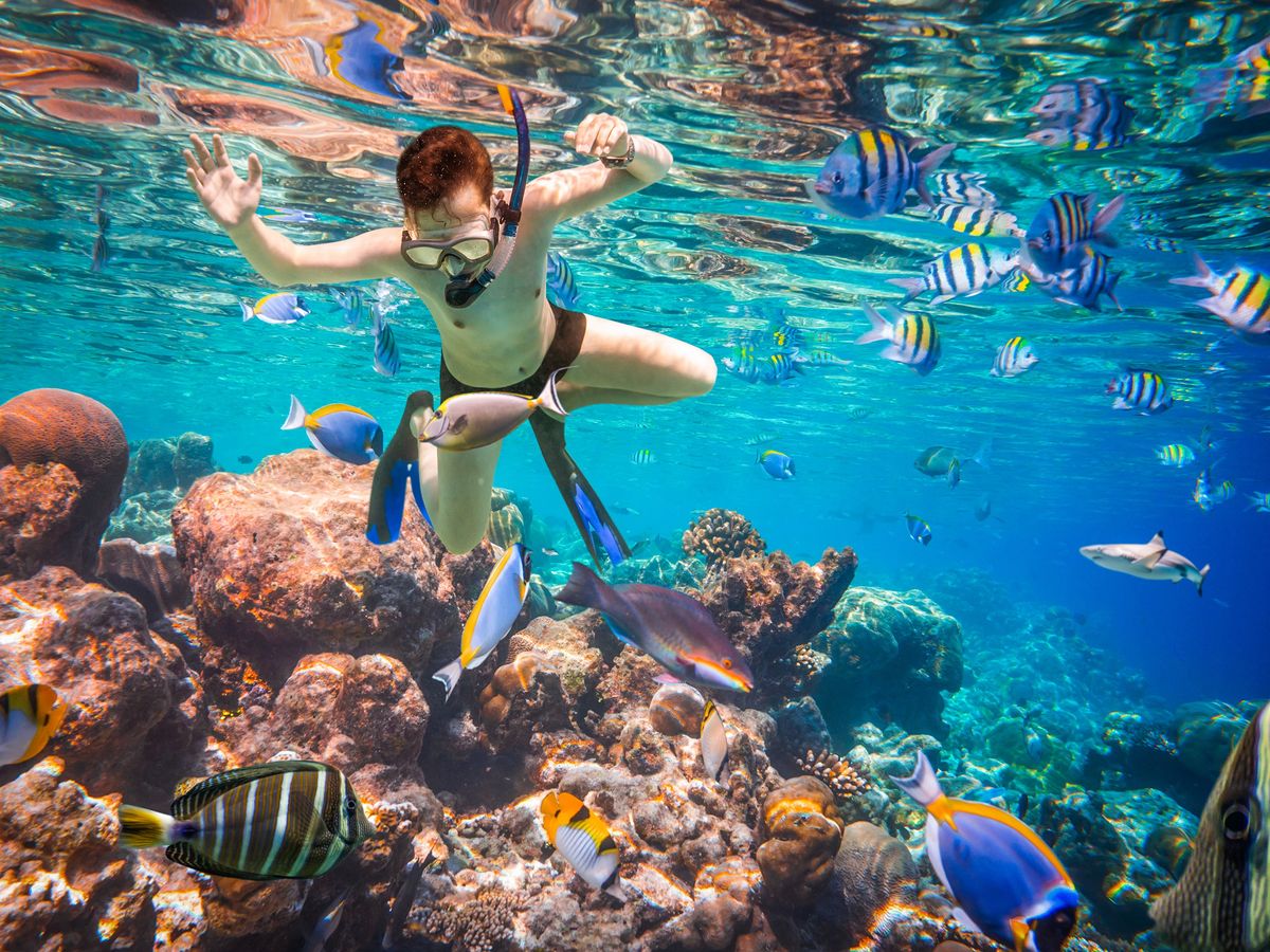 20201125054150_1048534447_2781