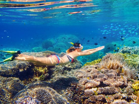 ハワイ島　シュノーケルクルーズ　SUP体験もできる充実ツアー！貸し切りプランあり＜午前／朝食・昼食付き＞ by フラカイ号