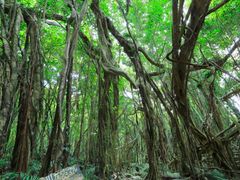 pixta_20087357_M