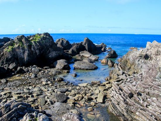 室戸岬人気スポット巡り！室戸岬＋室戸ユネスコ世界ジオパーク＋むろと廃校水族館＜貸切／7.5時間／高知市内発＞