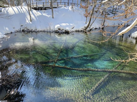 神の子池スノーシューツアー　冬は車では行くことのできない神秘的な神の子池を目指すスノーシューイング＜12～4月／網走市内＆斜里駅送迎付／斜里町＞