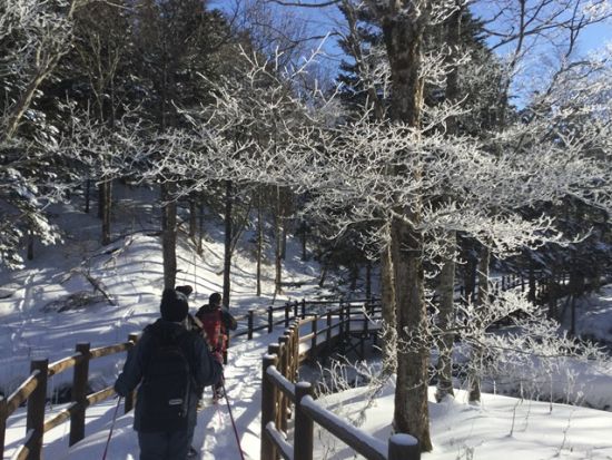 神の子池スノーシューツアー　冬は車では行くことのできない神秘的な神の子池を目指すスノーシューイング＜12～4月／網走市内＆斜里駅送迎付／斜里町＞