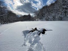 IMG_0478