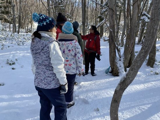 【空席があれば当日予約可】世界遺産知床　絶景森歩き半日ツアー　現地在住ガイドと原生林を歩きながら知床の歴史や自然、生態系を学ぶ＜ウトロ地区送迎あり／通年＞