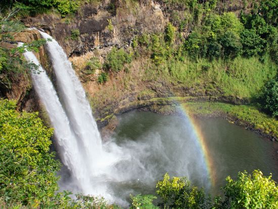【クルーズ船ご利用の方限定】カウアイ島探索ツアー　ワイメア渓谷+ワイルア川クルーズ+オパエカア滝など選べる5つのプラン＜英語ガイド／ナウィリウィリ港発＞