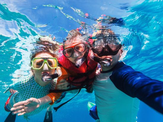 マウイ島　カヤック＆シュノーケリングツアー　水上と水中両方からマウイの海を満喫 ＜英語ガイド＞