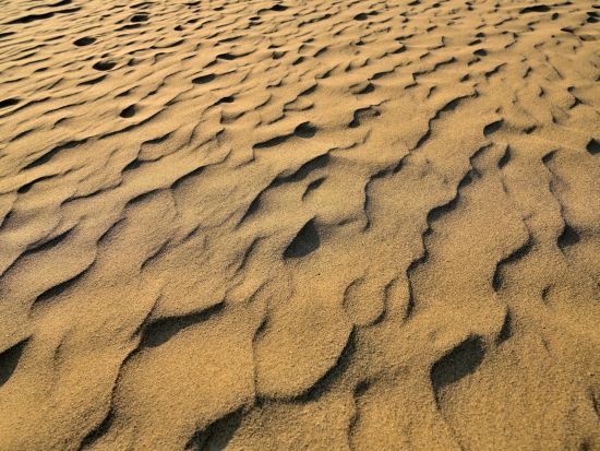貸切観光タクシー 鳥取砂丘＋山陰海岸ジオパーク＆白兎神社or鳥取城跡＜3時間／1-4名／鳥取駅発着＞4名参加で1名2,835円～byサービスタクシー