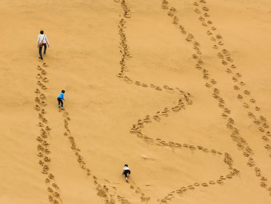 shutterstock_1131537068