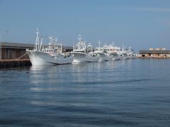 pixta_45530375_M