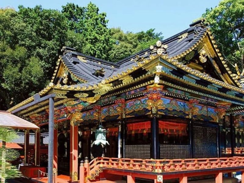 東京発 静岡 バスツアー 東京発 日帰り観光ツアー 東京の観光 遊び 体験 レジャー専門予約サイト Veltra ベルトラ