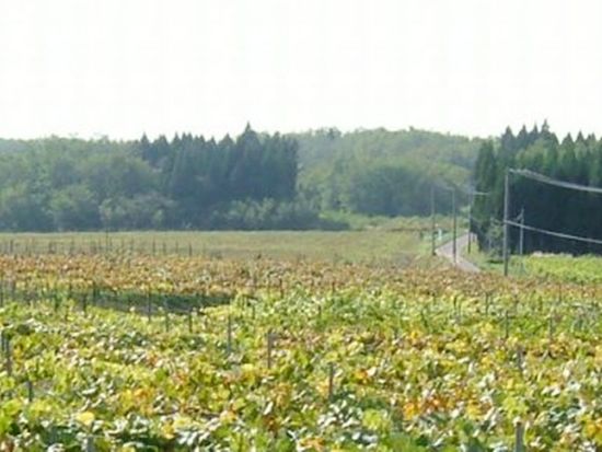 cbbeff42204607bbf86ce62819ab3455-1024x288