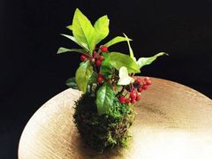 kokedama-948x1024
