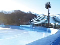 outdoor_skating_rink_photo_04_large