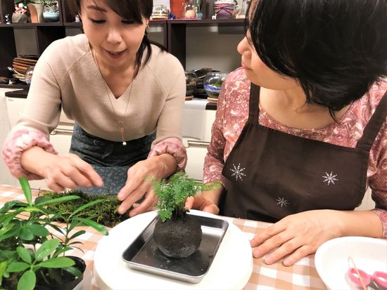 苔を楽しむ1日 季節の苔玉 苔テラリウムづくり 新宿御苑前徒歩3分 By カルチャースクールいろは 東京の観光 遊び 体験 レジャー専門予約サイト Veltra ベルトラ 苔を楽しむ1日 季節の苔玉 苔テラリウムづくり 新宿御苑前徒歩3分 By カルチャースクールいろは 東京の観光 遊び 体験 レジャー専門予約サイト Veltra ベルトラ