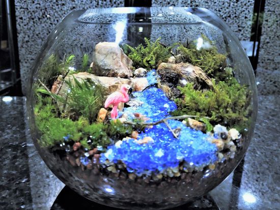 苔を楽しむ1日 季節の苔玉 苔テラリウムづくり 新宿御苑前徒歩3分 By カルチャースクールいろは 東京の観光 遊び 体験 レジャー専門予約サイト Veltra ベルトラ 苔を楽しむ1日 季節の苔玉 苔テラリウムづくり 新宿御苑前徒歩3分 By カルチャースクールいろは 東京の観光 遊び 体験 レジャー専門予約サイト Veltra ベルトラ