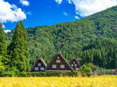 pixta_63429855_M