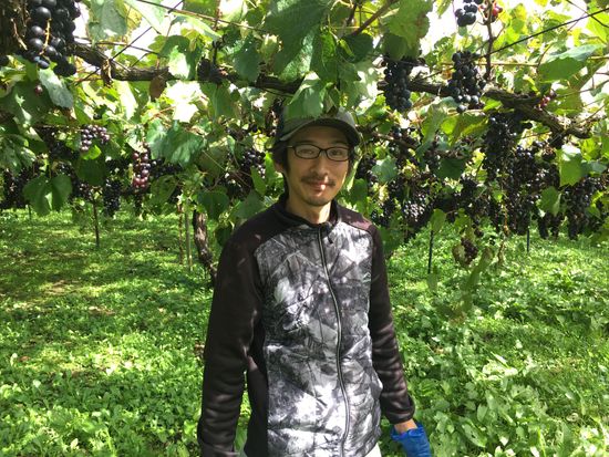 若手の栽培農家