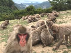 小豆島1