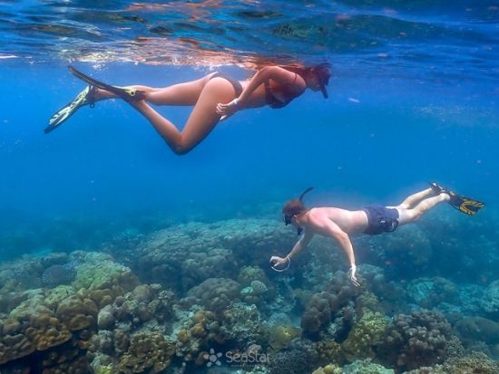 スリン諸島シュノーケリングツアー　国立公園上陸＋先住民族モーケン族村訪問＜1日／スピードボート／英語ガイド／昼食／送迎付＞