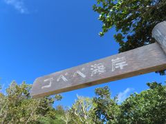 IMG_1454