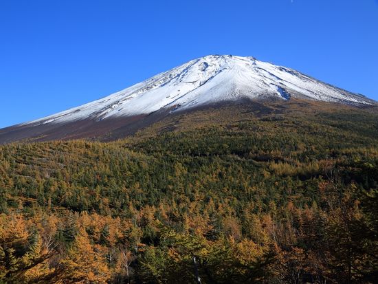 Japan_Mt Fuji_5th Station_shutterstock_441656689