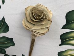 IMG_0683