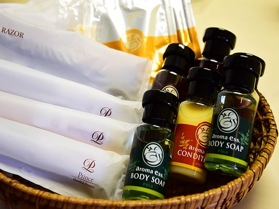 pic_hotel_shigakogenhotel_higashikan_room_03