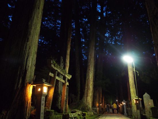 高野山 奥之院ナイトツアー 神秘的な夜の奥之院を僧侶や元執事がご案内 ＜混載／1名から参加可＞by 株式会社オーサムツアーズ