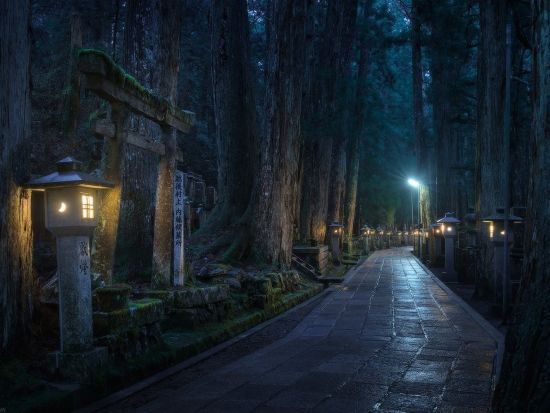 高野山 奥之院ナイトツアー 神秘的な夜の奥之院を僧侶や元執事がご案内 ＜混載／1名から参加可＞by 株式会社オーサムツアーズ
