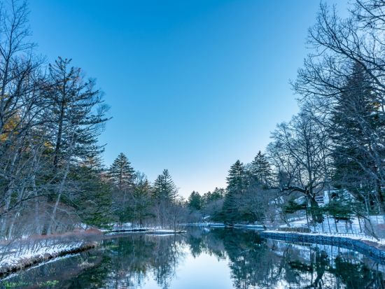 【貸切】ローカルドライバーが軽井沢の定番スポットを専用車でご案内！＜5時間 or 2.5時間／ガイド付／軽井沢町＞