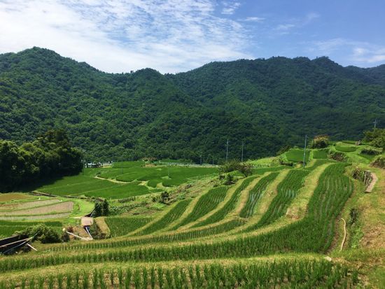 蜊・椢逕ｰ竭｣