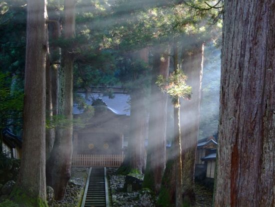金沢港クルーズターミナル発着 貸切観光タクシー 東尋坊＋永平寺 福井の2大名所を巡る＜5時間／1～9名／選べる車種／金沢発着＞by 冨士タクシー