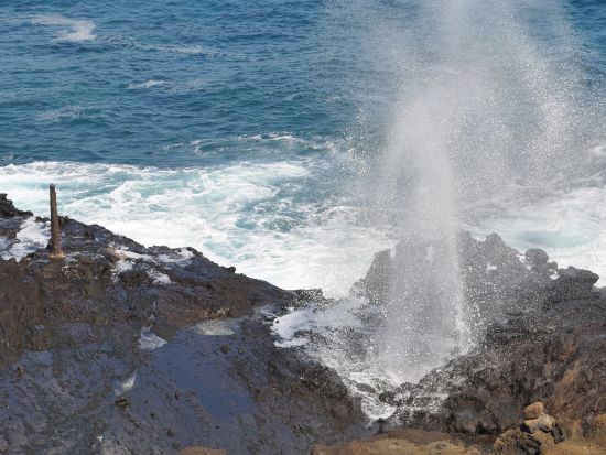 マカプウ・トレイル　ハイキングシャトルサービス　ハロナ・ブロウホール立ち寄りあり！人気のハイキングコースを気軽に楽しめるガイド無しプラン＜英語ドライバー＞