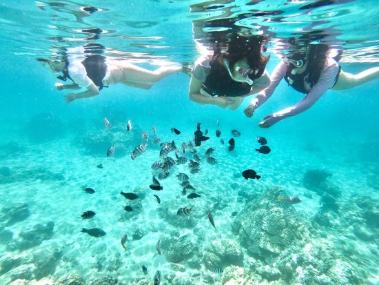 奄美大島北部の秘境 コウトリビーチ上陸ツアー　ボートシュノーケルで奄美ブルーの海を堪能　シャワー室などショップ設備も充実 ＜龍郷町＞ by ON SHORE