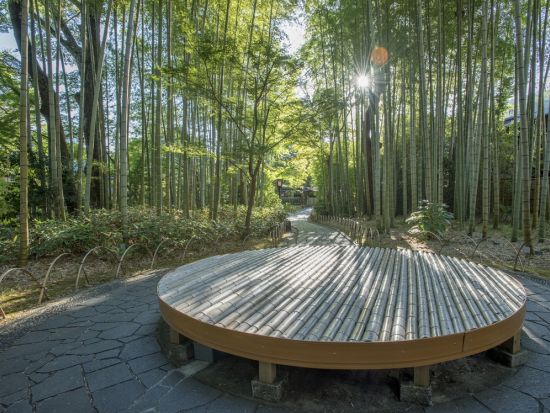 着物・浴衣着付け体験　約150着から好みの着物・浴衣を選べる　着付け後は修善寺温泉街をのんびり散策＜街ナビゆるり／伊豆市修善寺温泉＞