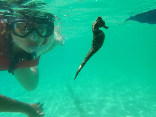 シーカヤック＆シュノーケルツアー 写真撮影＆ウェブアルバムプレゼント 1日プランは手作りアウトドアランチ込！＜1日または半日プラン＞ by オーシャンガイズ