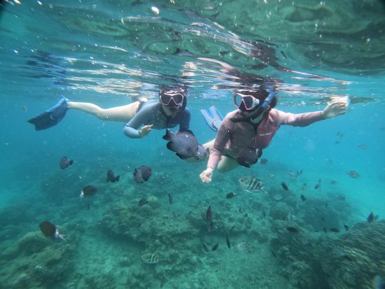 奄美大島北部の秘境 コウトリビーチ上陸ツアー　ボートシュノーケルで奄美ブルーの海を堪能　シャワー室などショップ設備も充実 ＜龍郷町＞ by ON SHORE