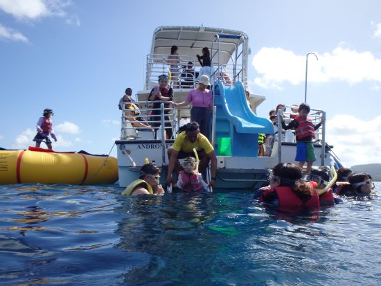 イルカウォッチング＋オーシャンパーク☆　パラセーリングやアクアウォーク付プランもあり！＜日本語or英語ガイド／送迎付き＞by スキューバカンパニー