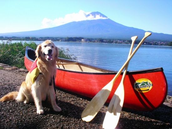 2時間カヌー体験プランは即時予約可能日あり！ カヌー体験 富士山をバックに河口湖を水上散歩！＜0歳から参加可／30分・2時間／午前・午後／富士河口湖＞